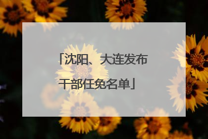 沈阳、大连发布干部任免名单