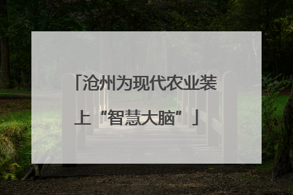 沧州为现代农业装上“智慧大脑”