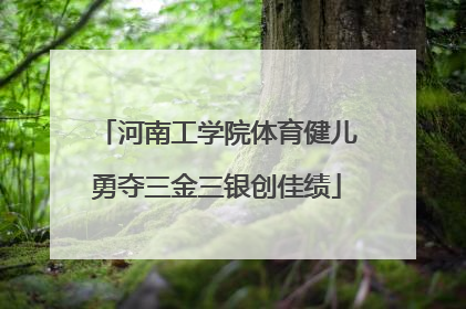 河南工学院体育健儿勇夺三金三银创佳绩