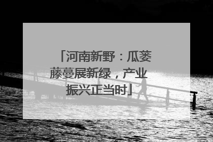 河南新野：瓜蒌藤蔓展新绿，产业振兴正当时