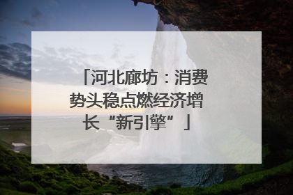 河北廊坊：消费势头稳点燃经济增长“新引擎”