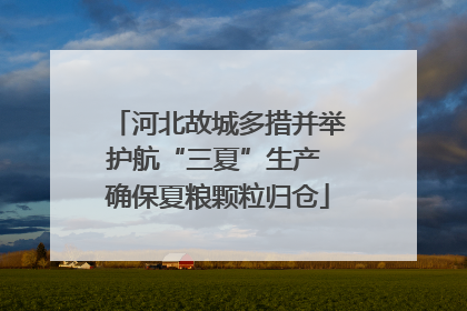 河北故城多措并举护航“三夏”生产 确保夏粮颗粒归仓