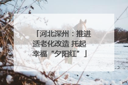 河北深州：推进适老化改造 托起幸福“夕阳红”
