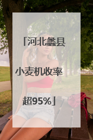 河北蠡县小麦机收率超95%