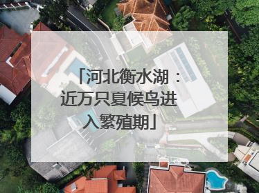 河北衡水湖：近万只夏候鸟进入繁殖期