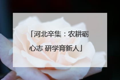 河北辛集：农耕砺心志 研学育新人