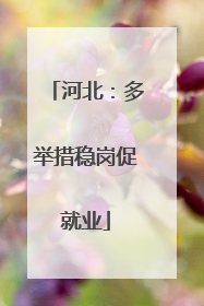 河北：多举措稳岗促就业