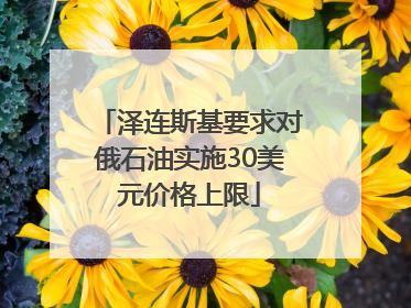 泽连斯基要求对俄石油实施30美元价格上限