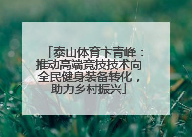 泰山体育卞青峰：推动高端竞技技术向全民健身装备转化，助力乡村振兴