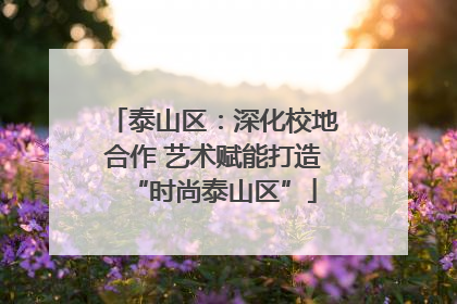 泰山区：深化校地合作 艺术赋能打造“时尚泰山区”