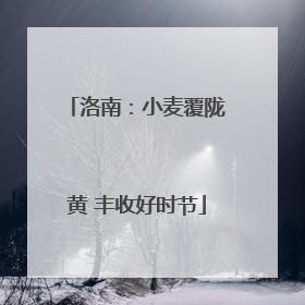 洛南：小麦覆陇黄 丰收好时节