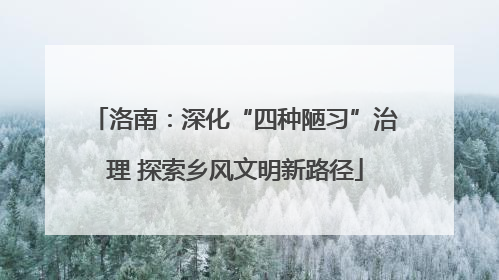 洛南：深化“四种陋习”治理 探索乡风文明新路径