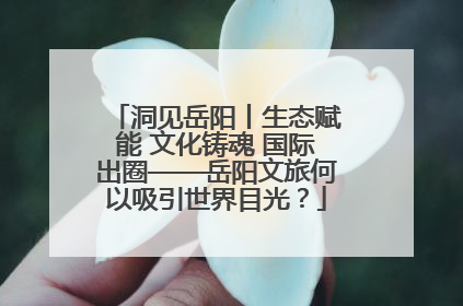 洞见岳阳丨生态赋能 文化铸魂 国际出圈——岳阳文旅何以吸引世界目光？