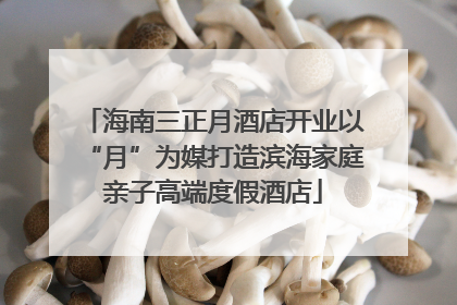 海南三正月酒店开业以“月”为媒打造滨海家庭亲子高端度假酒店