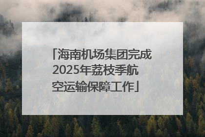 海南机场集团完成2025年荔枝季航空运输保障工作