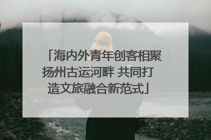海内外青年创客相聚扬州古运河畔 共同打造文旅融合新范式