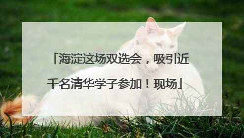 海淀这场双选会，吸引近千名清华学子参加！现场