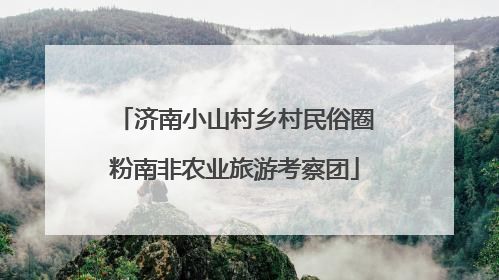 济南小山村乡村民俗圈粉南非农业旅游考察团