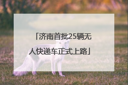济南首批25辆无人快递车正式上路