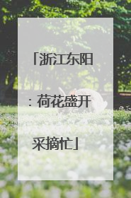 浙江东阳：荷花盛开采摘忙