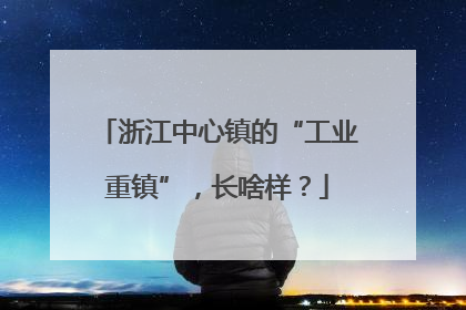 浙江中心镇的“工业重镇”，长啥样？