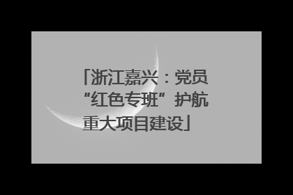浙江嘉兴：党员“红色专班”护航重大项目建设
