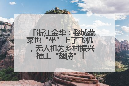 浙江金华：婺城蔬菜也“坐”上了飞机，无人机为乡村振兴插上“翅膀”