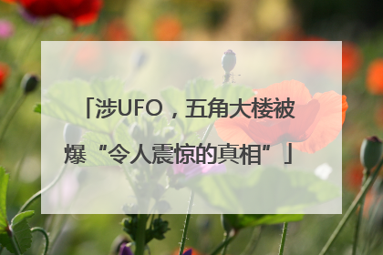 涉UFO，五角大楼被爆“令人震惊的真相”