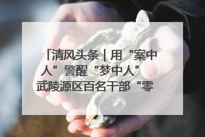 清风头条｜用“案中人”警醒“梦中人” 武陵源区百名干部“零距离”接受警示教育