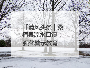 清风头条｜桑植县凉水口镇：强化警示教育 构筑廉洁防线
