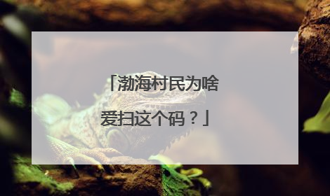 渤海村民为啥爱扫这个码？