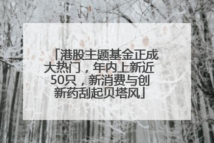 港股主题基金正成大热门，年内上新近50只，新消费与创新药刮起贝塔风