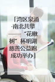 湾区泉涌·南北共擎——“花楸树”杯明湖慈善公益跑成功举办