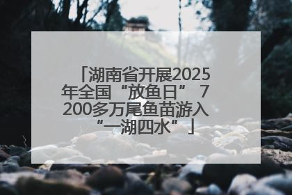 湖南省开展2025年全国“放鱼日” 7200多万尾鱼苗游入“一湖四水”