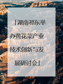湖南祁东举办黄花菜产业技术创新与发展研讨会