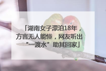 湖南女子漂泊18年，方言无人能懂，网友听出“一渡水”助其回家