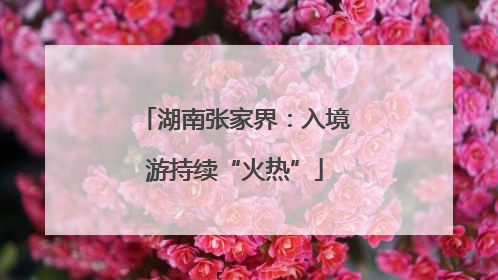 湖南张家界：入境游持续“火热”