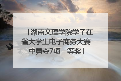 湖南文理学院学子在省大学生电子商务大赛中勇夺7项一等奖