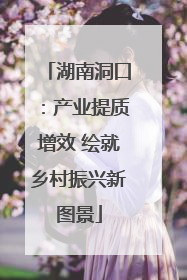 湖南洞口：产业提质增效 绘就乡村振兴新图景