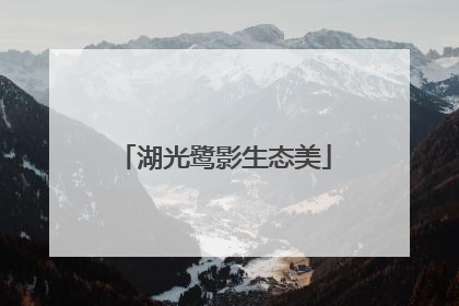 湖光鹭影生态美