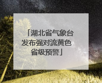湖北省气象台发布强对流黄色省级预警
