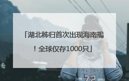 湖北秭归首次出现海南鳽！全球仅存1000只
