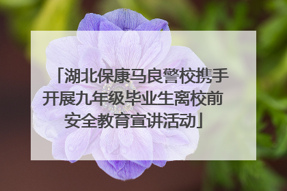 湖北保康马良警校携手开展九年级毕业生离校前安全教育宣讲活动