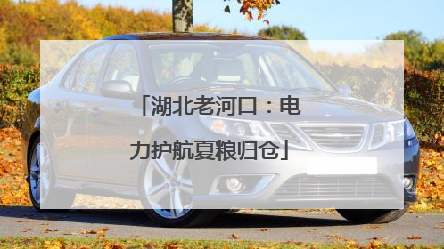 湖北老河口：电力护航夏粮归仓