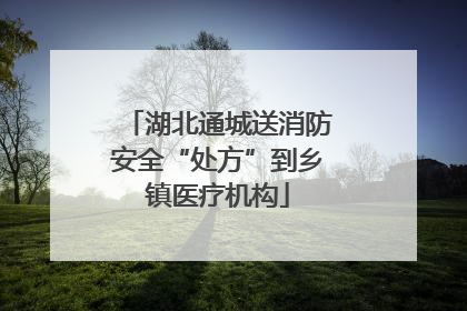 湖北通城送消防安全“处方”到乡镇医疗机构
