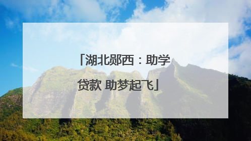 湖北郧西：助学贷款 助梦起飞