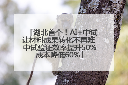 湖北首个！AI+中试让材料成果转化不再难 中试验证效率提升50%成本降低60%