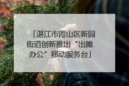 湛江市霞山区新园街道创新推出“出摊办公”移动服务台