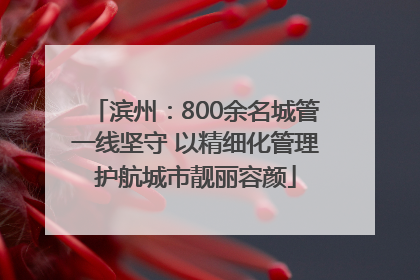 滨州：800余名城管一线坚守 以精细化管理护航城市靓丽容颜
