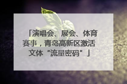 演唱会、展会、体育赛事，青岛高新区激活文体“流量密码”